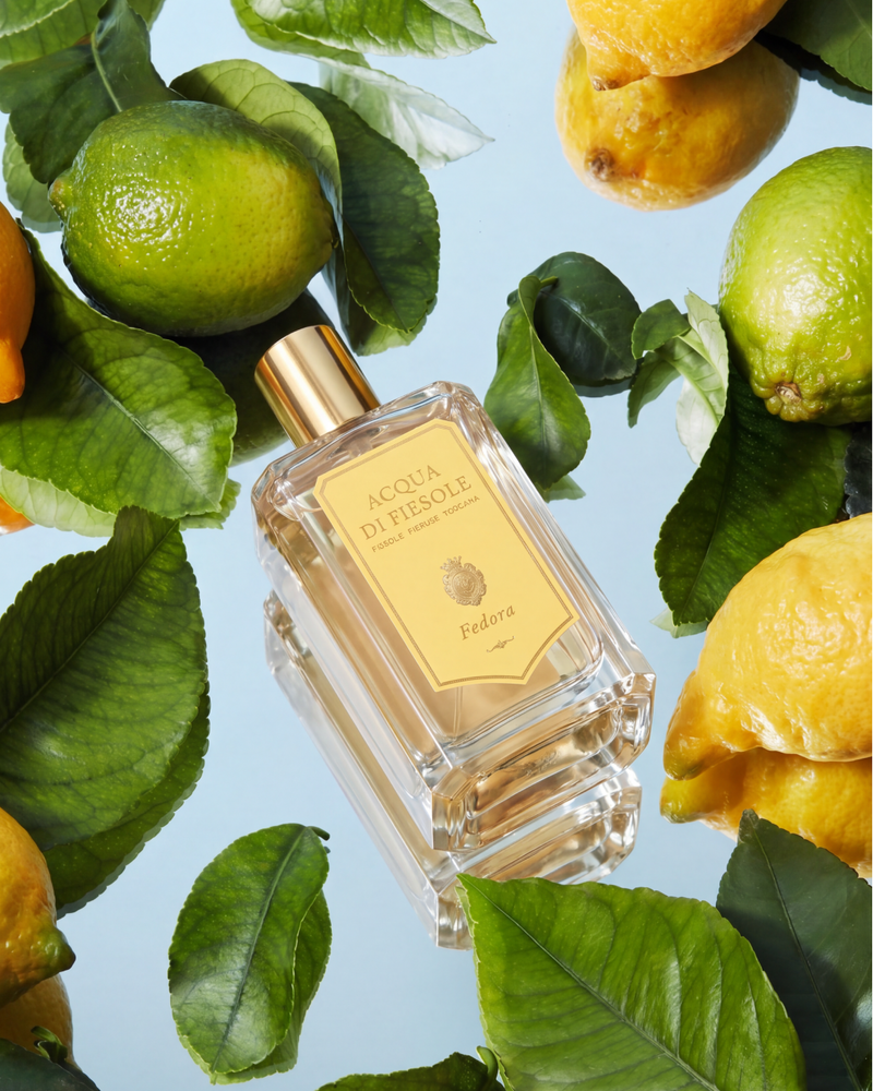 Flacone Fedora tra limoni, lime e foglie di agrumi su fondo azzurro